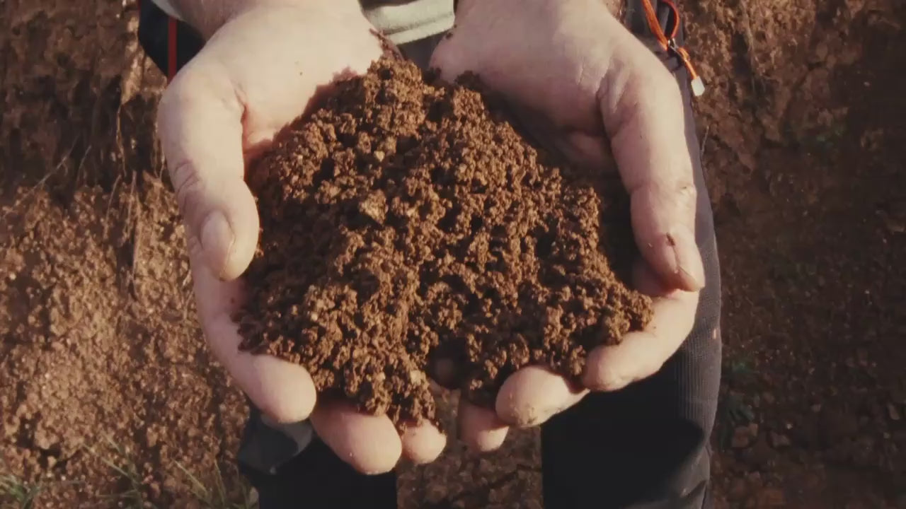 Puente del arzobispo_ceramica_casa maricruz